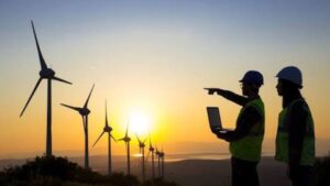 Green Skills and Sustainable Labour Markets
