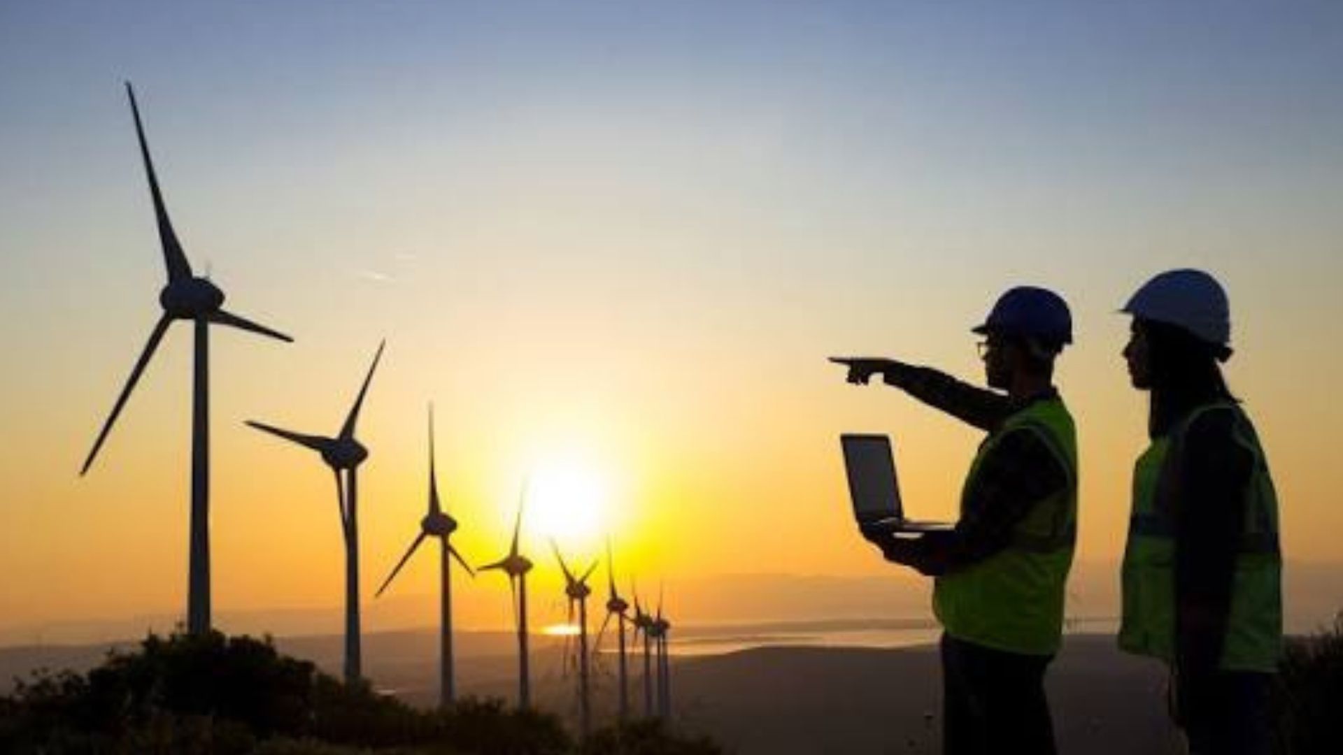 Green Skills and Sustainable Labour Markets